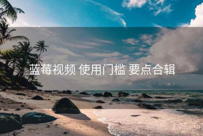 蓝莓视频 使用门槛 要点合辑