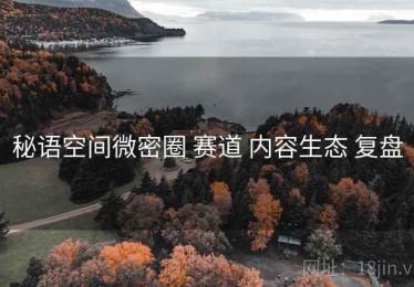 秘语空间微密圈 赛道 内容生态 复盘