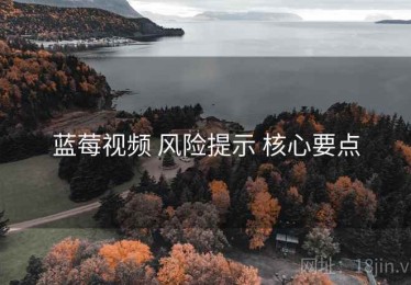 蓝莓视频 风险提示 核心要点