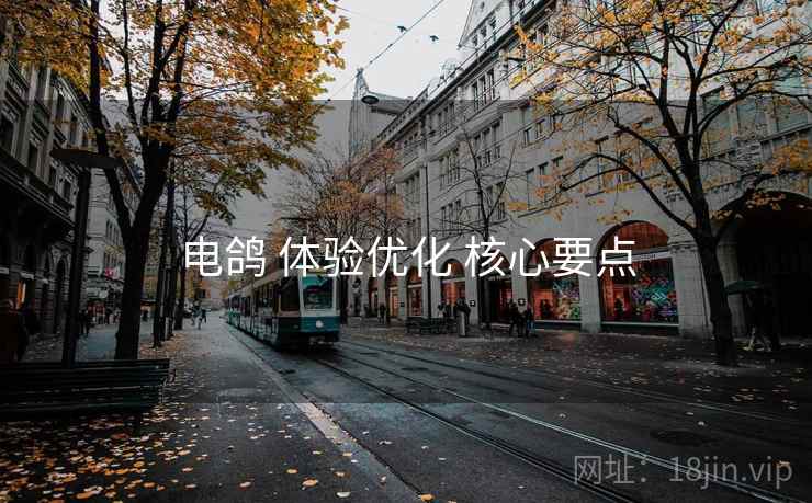 电鸽 体验优化 核心要点