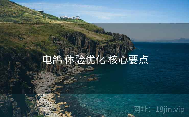 电鸽 体验优化 核心要点