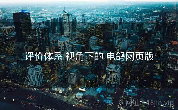 评价体系 视角下的 电鸽网页版