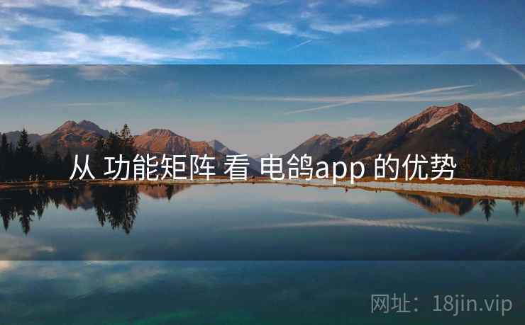 从 功能矩阵 看 电鸽app 的优势