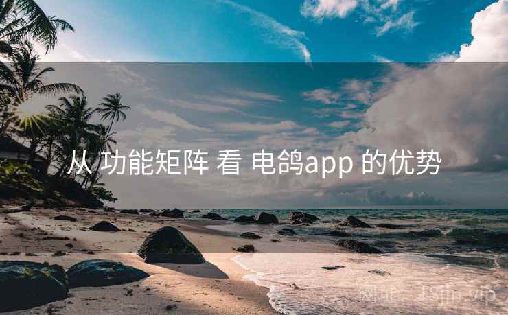 从 功能矩阵 看 电鸽app 的优势