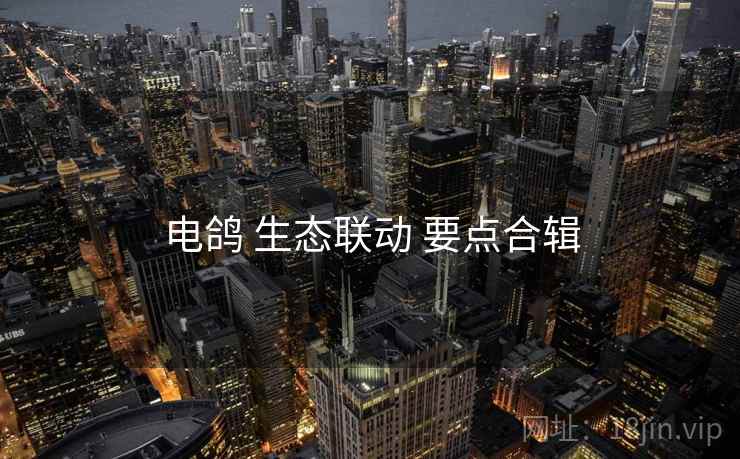 电鸽 生态联动 要点合辑