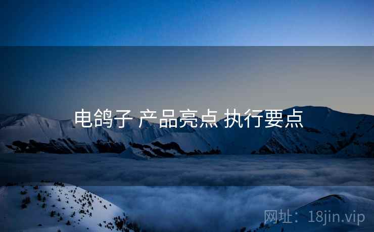 电鸽子 产品亮点 执行要点