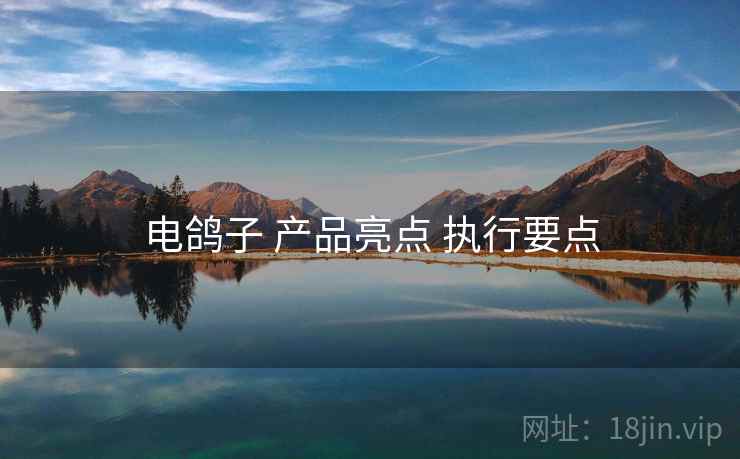 电鸽子 产品亮点 执行要点