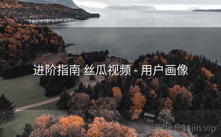 进阶指南 丝瓜视频 - 用户画像