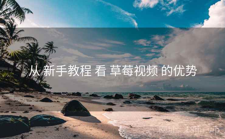 从 新手教程 看 草莓视频 的优势