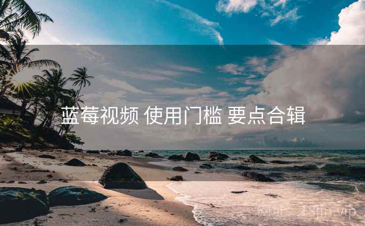 蓝莓视频 使用门槛 要点合辑