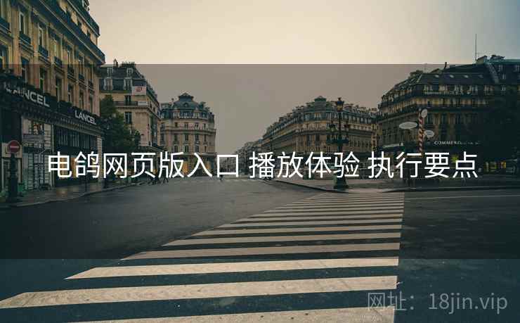 电鸽网页版入口 播放体验 执行要点