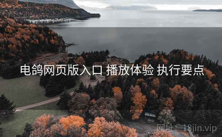 电鸽网页版入口 播放体验 执行要点