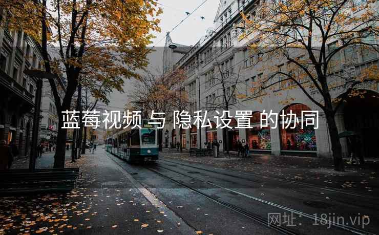 蓝莓视频 与 隐私设置 的协同