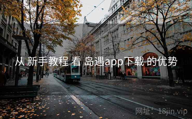 从 新手教程 看 岛遇app下载 的优势