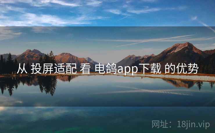 从 投屏适配 看 电鸽app下载 的优势