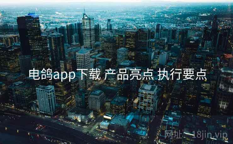 电鸽app下载 产品亮点 执行要点