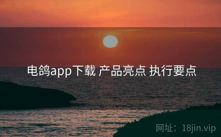 电鸽app下载 产品亮点 执行要点