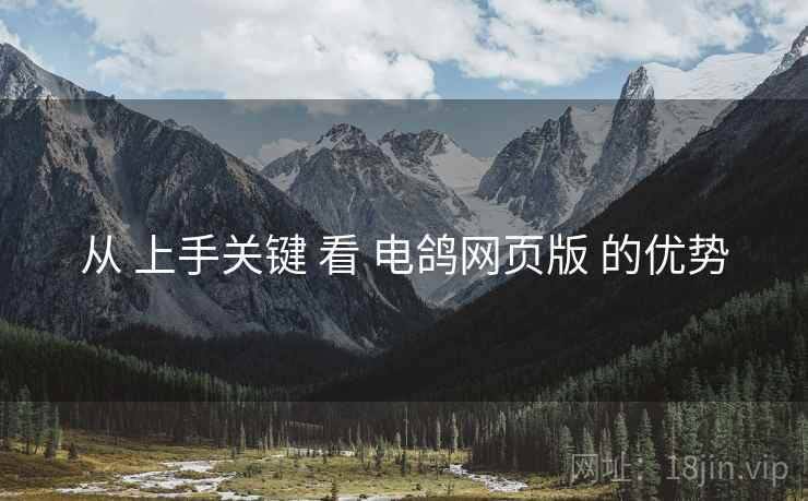 从 上手关键 看 电鸽网页版 的优势