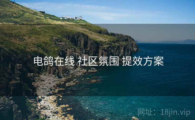 电鸽在线 社区氛围 提效方案
