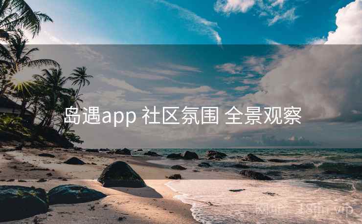 岛遇app 社区氛围 全景观察