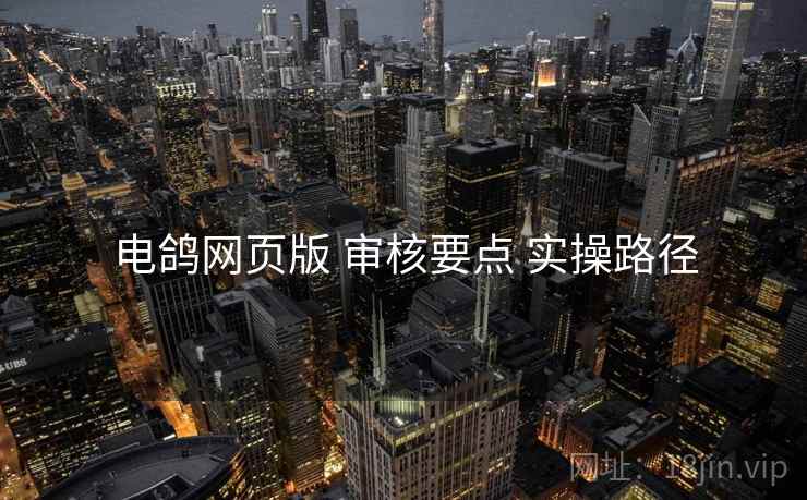 电鸽网页版 审核要点 实操路径