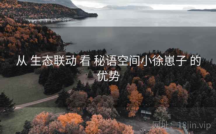 从 生态联动 看 秘语空间小徐崽子 的优势