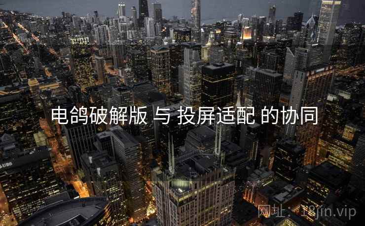 电鸽破解版 与 投屏适配 的协同