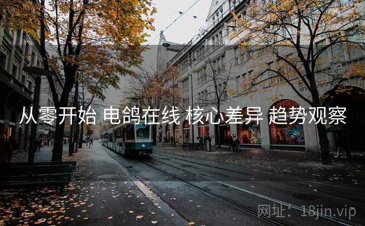 从零开始 电鸽在线 核心差异 趋势观察