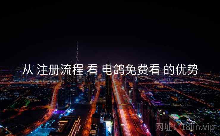 从 注册流程 看 电鸽免费看 的优势