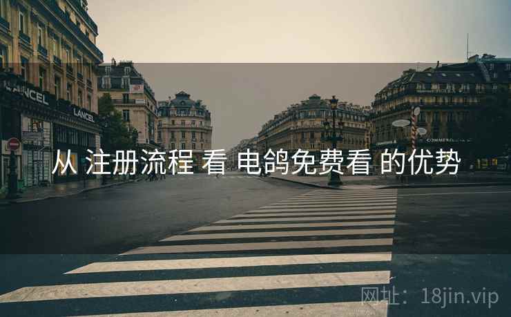 从 注册流程 看 电鸽免费看 的优势