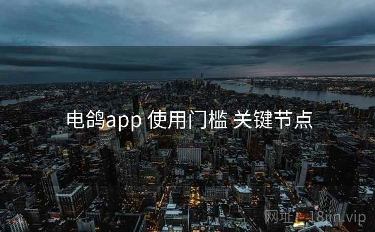 电鸽app 使用门槛 关键节点