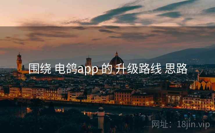 围绕 电鸽app 的 升级路线 思路