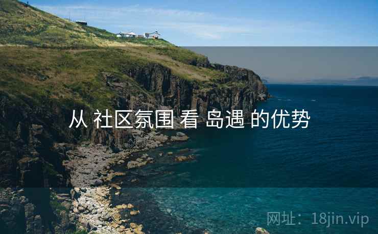 从 社区氛围 看 岛遇 的优势