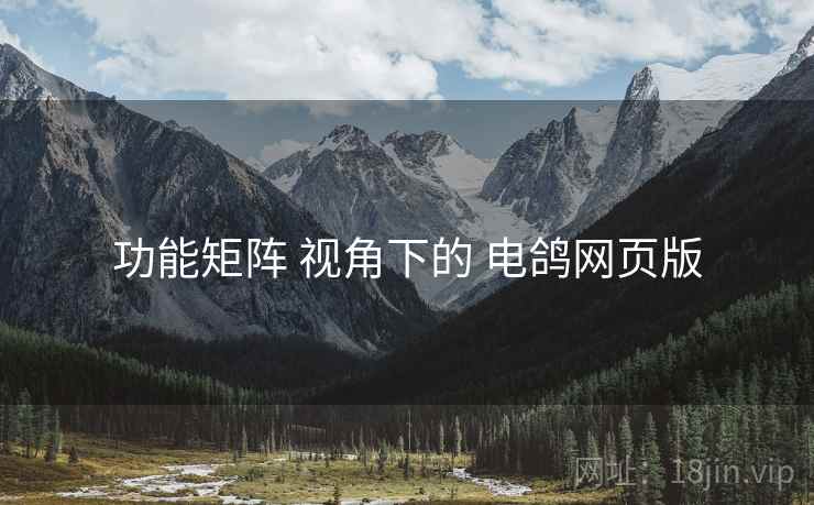 功能矩阵 视角下的 电鸽网页版
