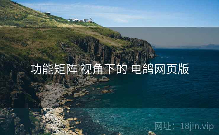 功能矩阵 视角下的 电鸽网页版