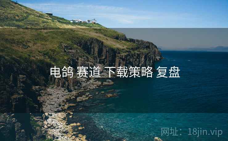 电鸽 赛道 下载策略 复盘