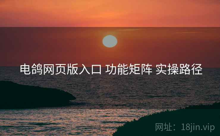 电鸽网页版入口 功能矩阵 实操路径