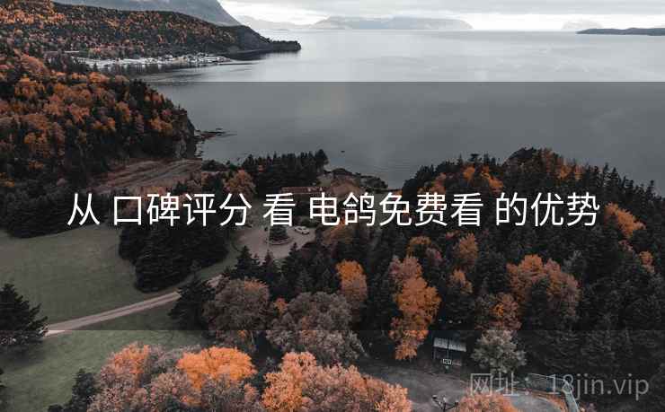 从 口碑评分 看 电鸽免费看 的优势