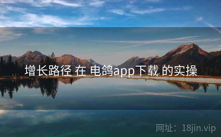 增长路径 在 电鸽app下载 的实操