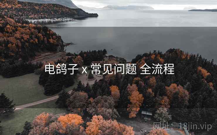 电鸽子 x 常见问题 全流程