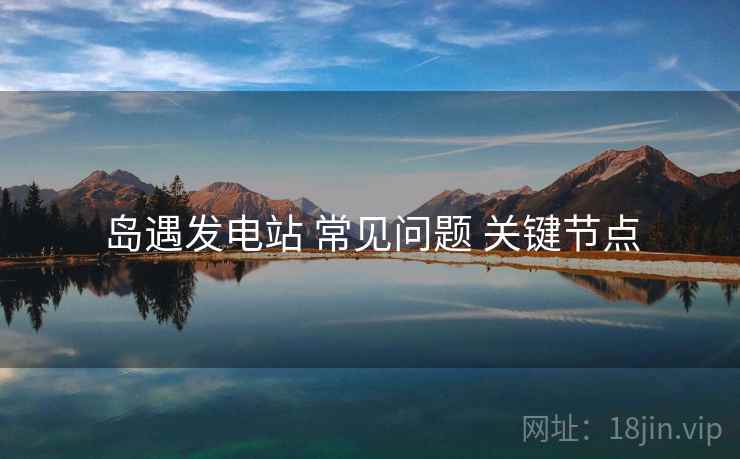 岛遇发电站 常见问题 关键节点