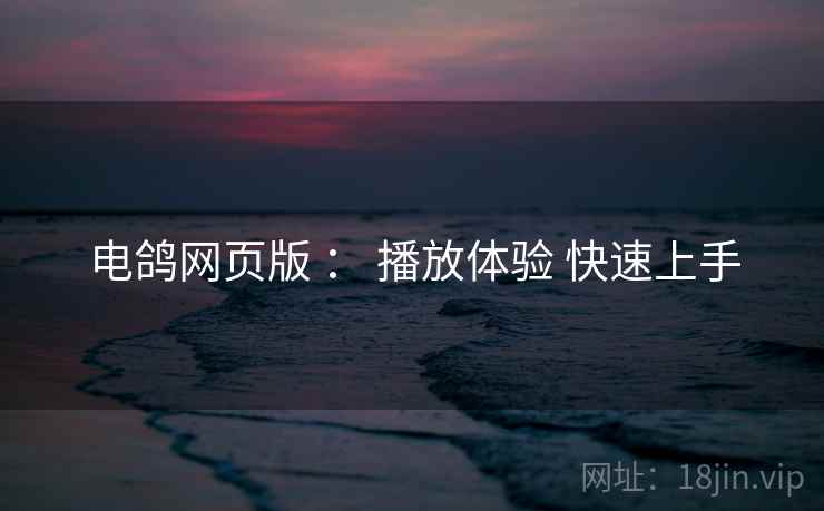 电鸽网页版 ： 播放体验 快速上手