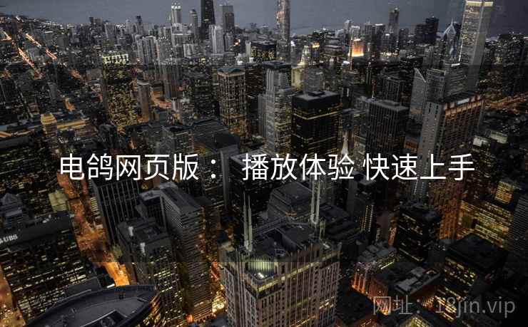 电鸽网页版 ： 播放体验 快速上手