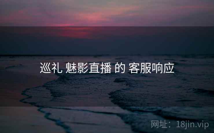 巡礼 魅影直播 的 客服响应