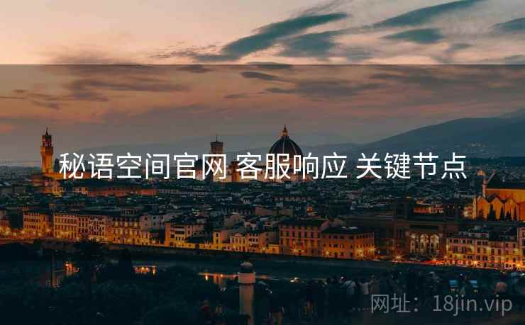 秘语空间官网 客服响应 关键节点