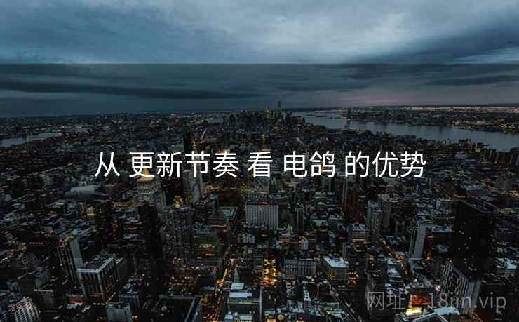 从 更新节奏 看 电鸽 的优势