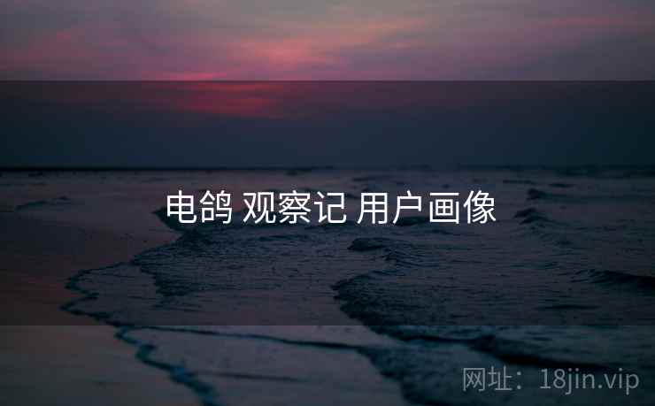 电鸽 观察记 用户画像