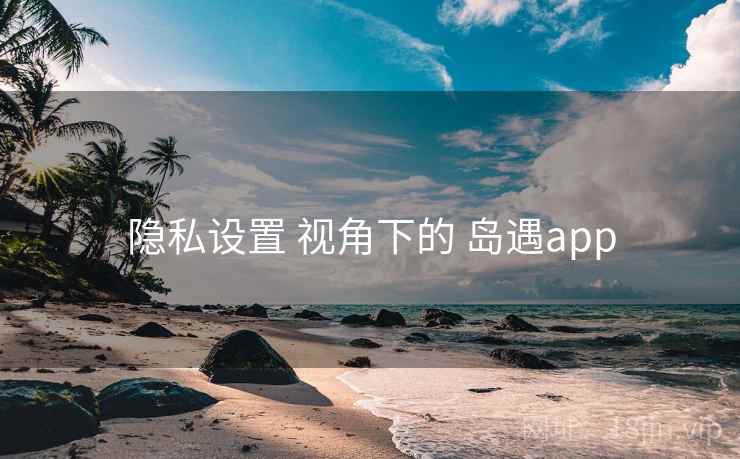 隐私设置 视角下的 岛遇app